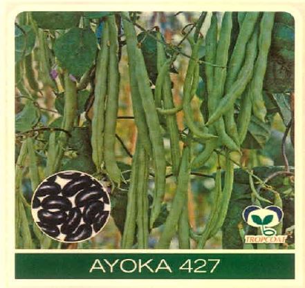 Ayoka 427 Device mark 4994067 Trademark