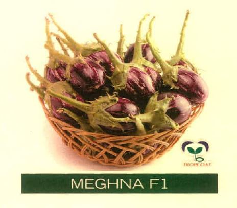 Meghna F1 With Device Device mark 4994071 Trademark