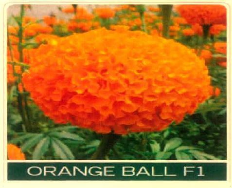 Orange Ball F1 With Device Device mark 4994046 Trademark
