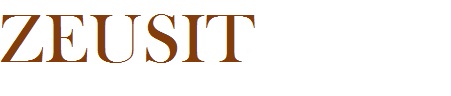 Zeusit Device mark 4995490 Trademark