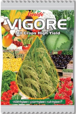Geolife Vigore Device mark 4995919 Trademark