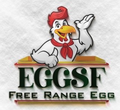 Eggsf Device mark 4996346 Trademark