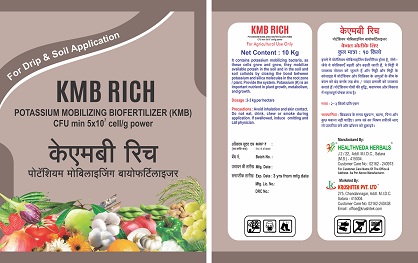 Kmb Rich Device mark 4997431 Trademark