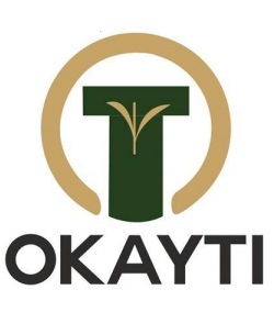 Okayti Device mark 5001491 Trademark
