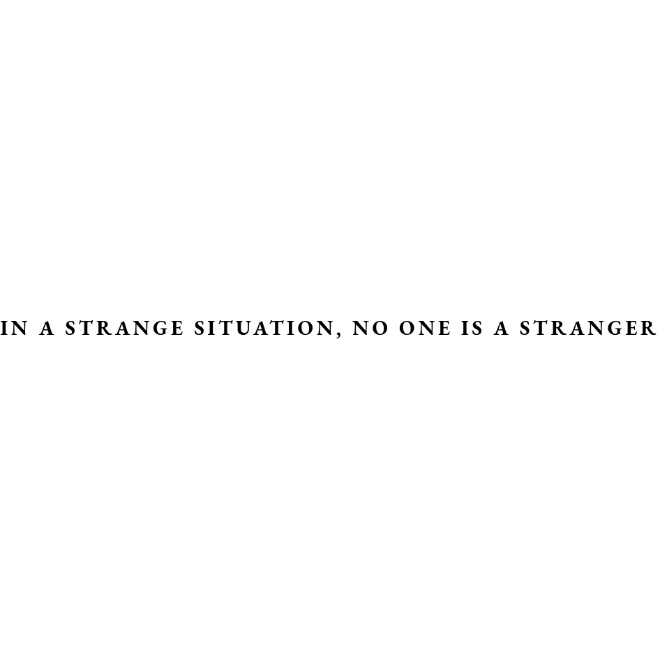 In A Strange Situation, No One Is A Stranger Device mark 5001768 Trademark