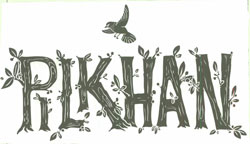 Pilkhan Device mark 5008272 Trademark