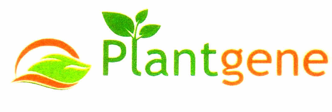 Plantgene Device mark 2930276 Trademark