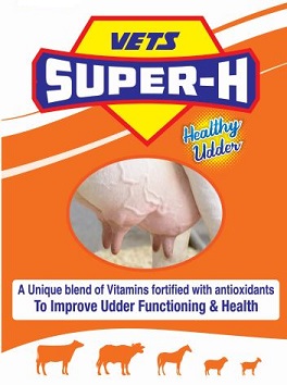 Vets Super-h Device mark 5013709 Trademark
