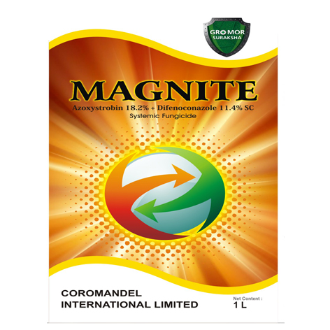 Magnite Device mark 5019582 Trademark