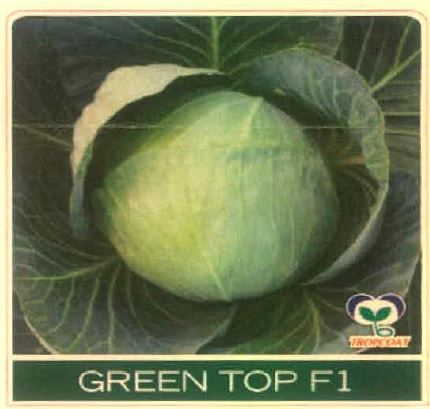 Green Top F1 Device mark 5031113 Trademark