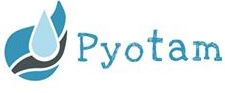 Pyotam (device) Device mark 5031817 Trademark