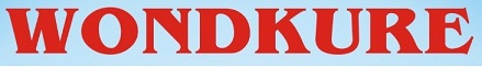 Wondkure Device mark 5032665 Trademark