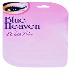 Blue Heaven With Device Device mark 5033767 Trademark