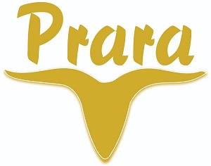 Prara Device mark 5035385 Trademark