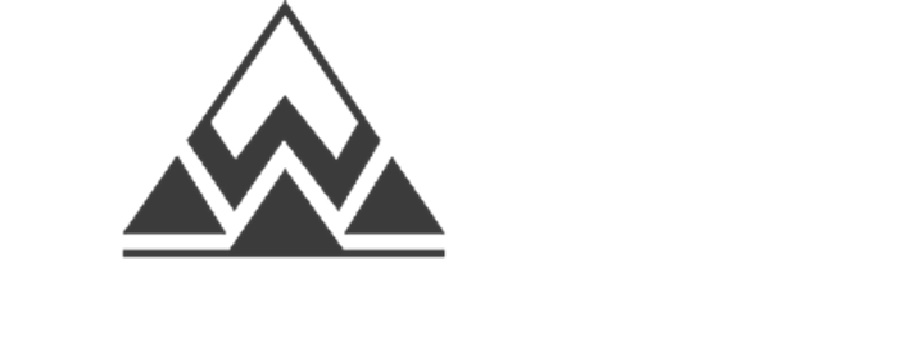 Device Of W Device mark 5042946 Trademark
