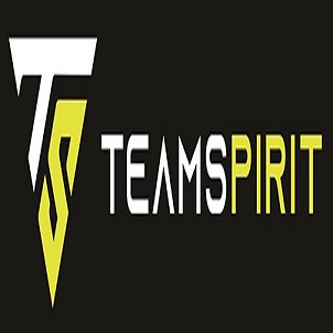 Teamspirit Device mark 5055494 Trademark