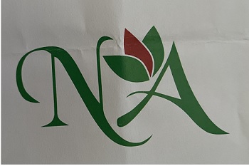 N Logo And A Device mark 5064472 Trademark
