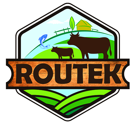 Routek Device mark 5066840 Trademark