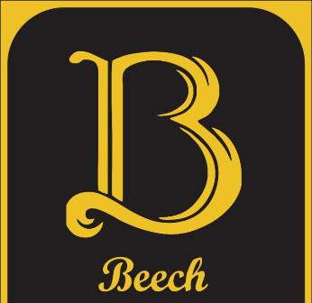 Beech Device mark 5068609 Trademark
