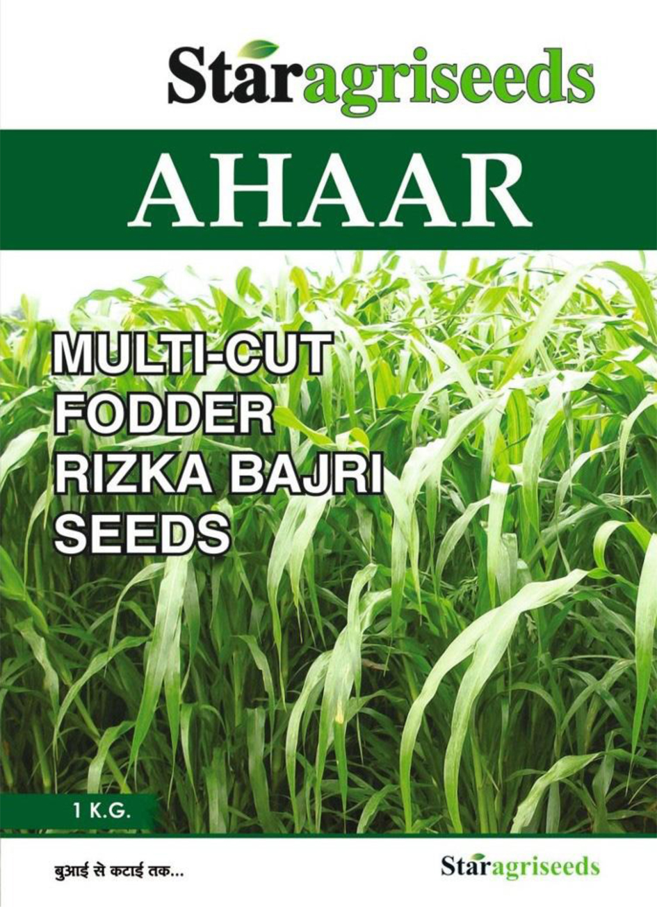 Ahaar Device mark 5070640 Trademark