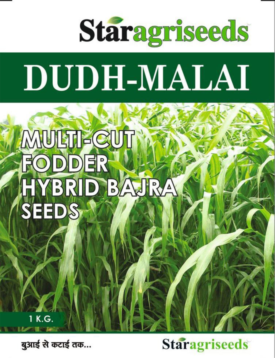 Dudh Malai Device mark 5072304 Trademark