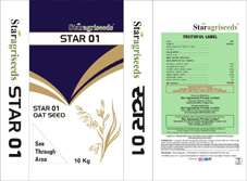 Star 01 Device mark 5072309 Trademark