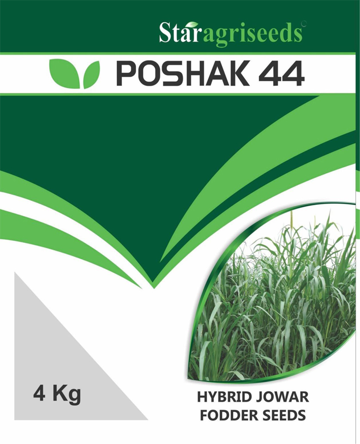 Poshak 44 Device mark 5072308 Trademark