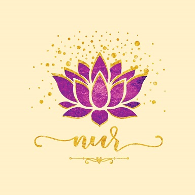 Nur Device mark 5075277 Trademark