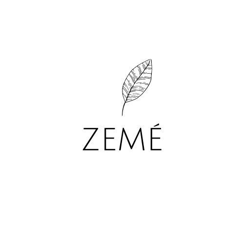 Logo Of Zeme Device mark 5078431 Trademark