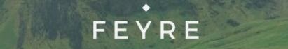 Feyre Device mark 5081114 Trademark