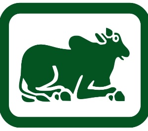 Nandi (logo) Device mark 5081829 Trademark