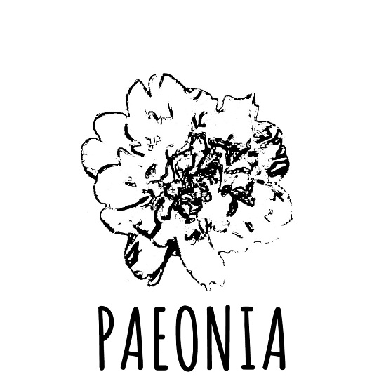 Paeonia Device mark 5084687 Trademark