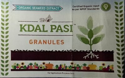 Snap Kdal Pasi Granules Device mark 5084858 Trademark