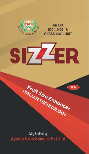 Sizzer Device mark 5086695 Trademark