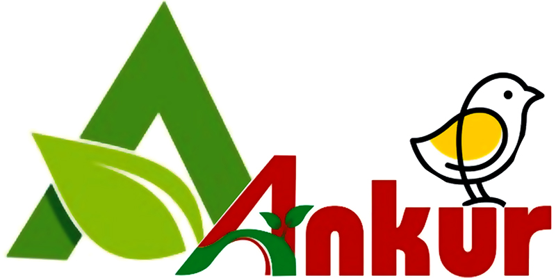 A Ankur Device mark 5088852 Trademark