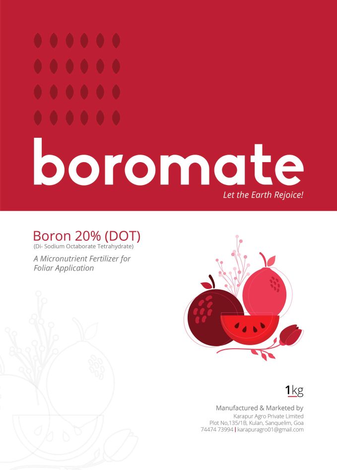 Boromate Device mark 5099774 Trademark