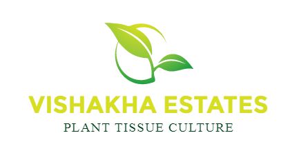Vishakha Estate Device mark 5109677 Trademark