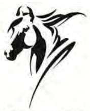 Device Of Horse Device mark 5110079 Trademark