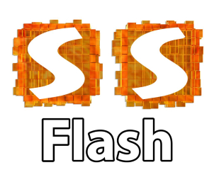 Ss Flash Device mark 5112248 Trademark