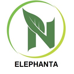 N Elephanta Device mark 5134782 Trademark