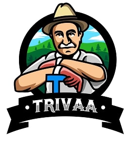 Trivaa Device mark 5138251 Trademark