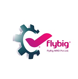 Flybig Device mark 5143732 Trademark