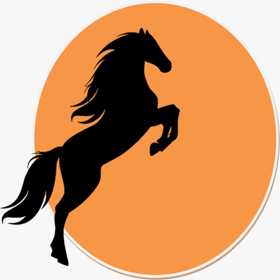 Sun Horse Picture & Logo Device mark 5143773 Trademark