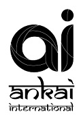 Ai Ankai International Device mark 5144538 Trademark