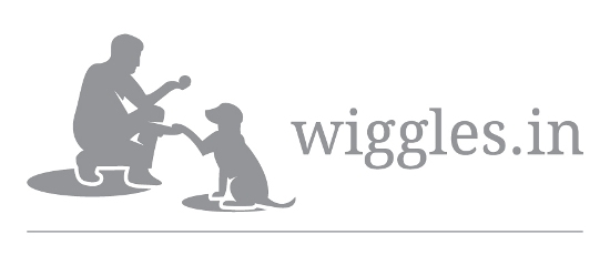 Wiggles.in Device mark 5161281 Trademark