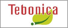 Tebonica Device mark 5167755 Trademark