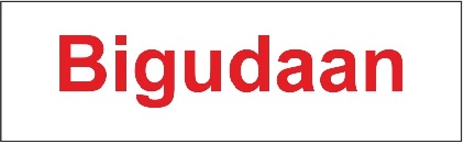 Bigudaan Device mark 5167761 Trademark