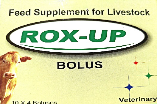 Rox-up Device mark 5177582 Trademark