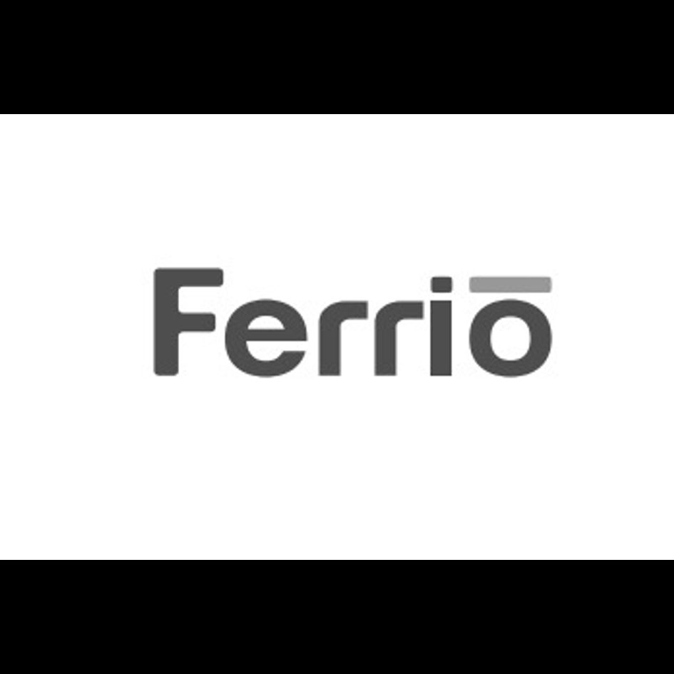 Ferrio Device mark 5183926 Trademark