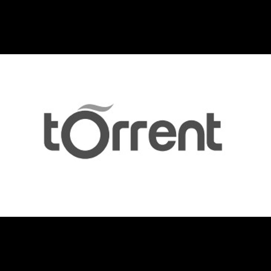 Torrent Device mark 5183933 Trademark